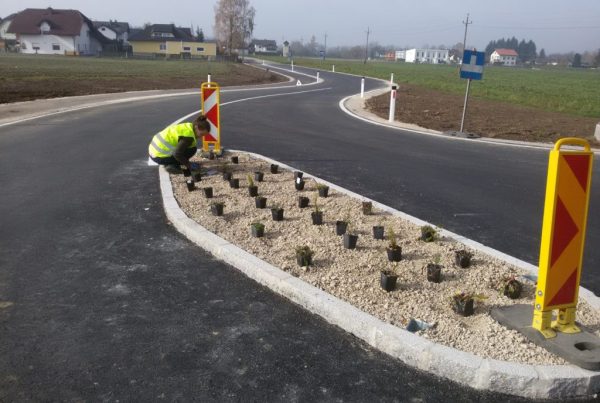 Pflanzungsbeispiel, verschiedene Wildblumen