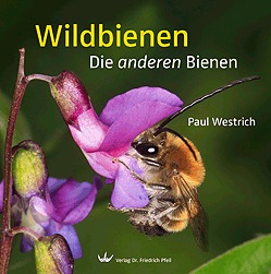 Buch Wildbienen, Paul Westrich