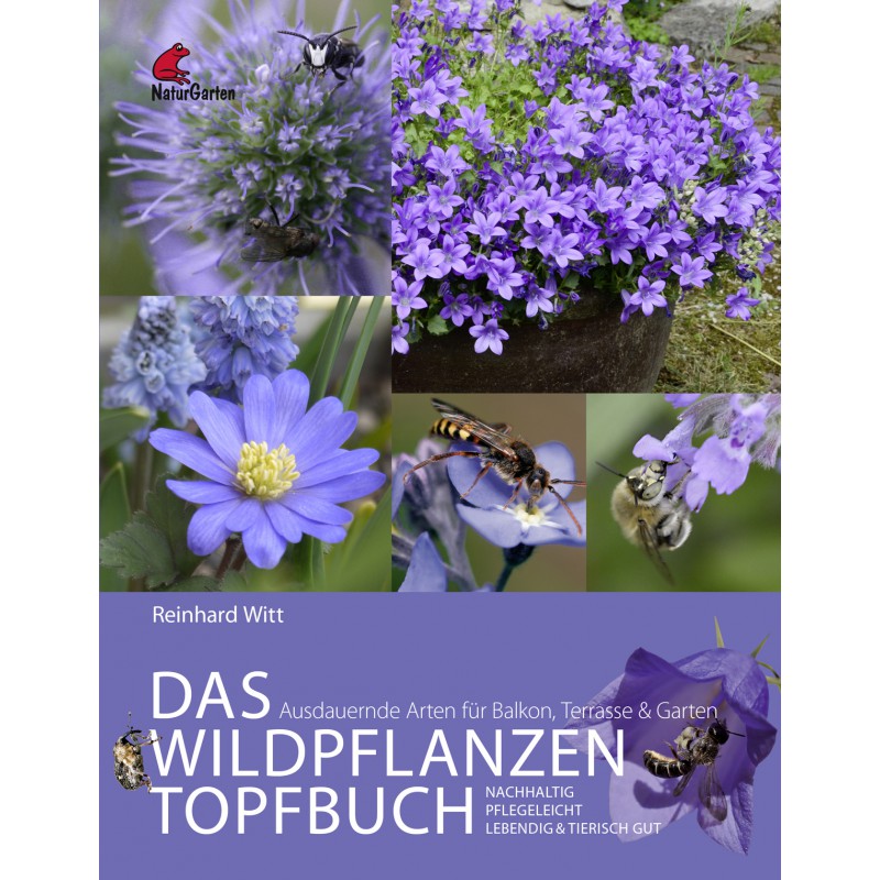 Buch Das Wildpflanzen Topfbuch, Reinhard Witt