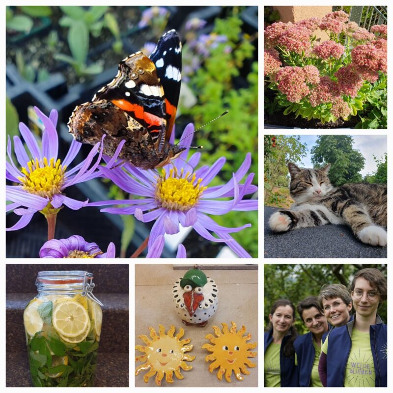 Collage Wir öffenen unsere Gartentore