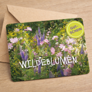 Gutschein 20 Euro