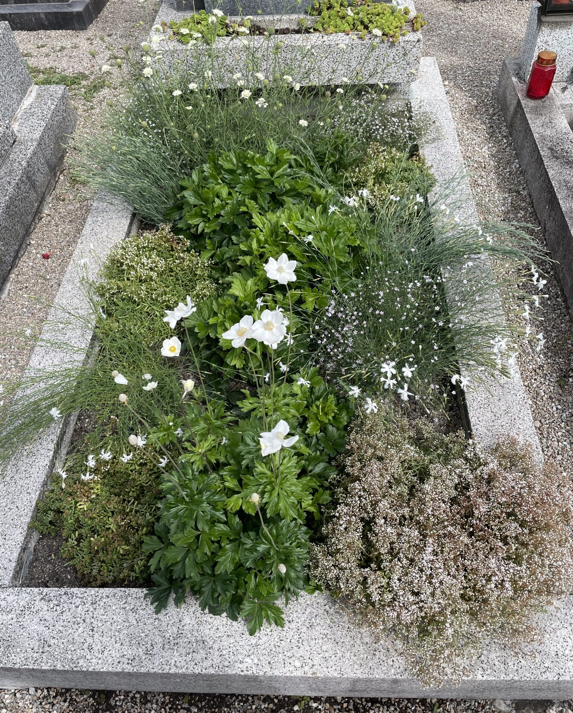 Eine Nachhaltige Grabbepflanzung mit Wilden Blumen ist ökologisch wertvoll und pflegeleicht.