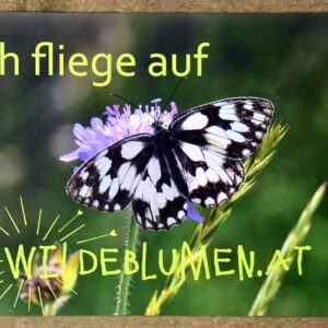 Auto-Magnettafel A5 Schmetterling
