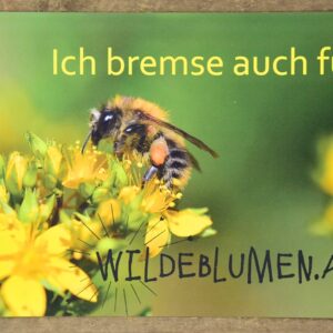 Auto-Magnettafel A5 Biene