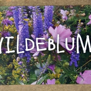 Auto-Magnettafel 300x120mm