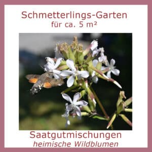 Die Saatgutmischung „Schmetterlings-Garten“ für ca. 5m² enthält Wildblumen, die eine wertvolle Nahrungsquelle für viele Schmetterlingsarten bieten.