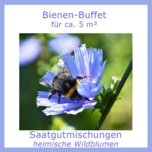 Die Saatgutmischung "Bienen-Buffet" für ca. 5m² enthält Wildblumensamen, auf die Bienen fliegen.