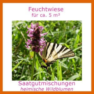 Die Saatgutmischung "Feuchtwiese" für ca. 5m² enthält Wildblumensamen, die besonders für Feuchtstandorte geeignet sind.