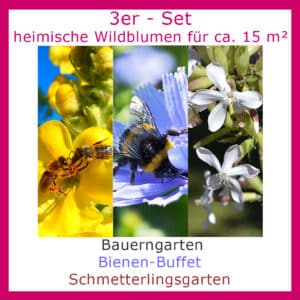 Die Saatgutmischung Bienen-Buffet "3er-Set" enthält je eine Packung unserer 3 bewährten Saatgutmischungen für 5m².