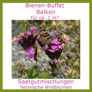 Die Saatgutmischung Bienen-Buffet "Balkon - bunt " enthält Samen verschiedenfarbiger Wildblumen.