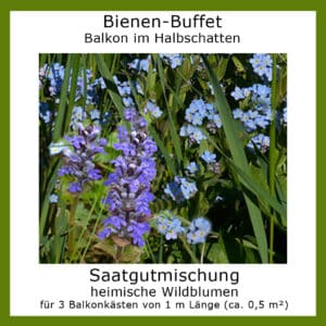 Die Saatgutmischung Bienen-Buffet "Balkon - bunt " enthält Samen verschiedenfarbiger Wildblumen.