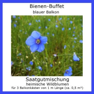 Die Saatgutmischung Bienen-Buffet "blauer Balkon" enthält Samen blau blühender Wildblumen.