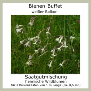 Die Saatgutmischung Bienen-Buffet "weißer Balkon" enthält Samen weiß blühender Wildblumen.