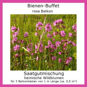 Die Saatgutmischung Bienen-Buffet "rosa Balkon" enthält Samen rosa blühender Wildblumen.