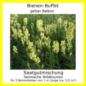 Die Saatgutmischung Bienen-Buffet "gelber Balkon" enthält Samen gelb blühender Wildblumen.