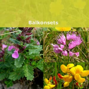 Balkonsets