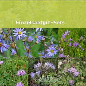 Einzelsamen-Set