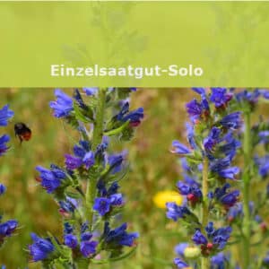 Einzelsamen-Solo