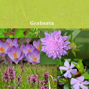 Grabsets