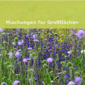 Mischungen für Großflächen