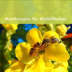 Mischungen für Kleinflächen