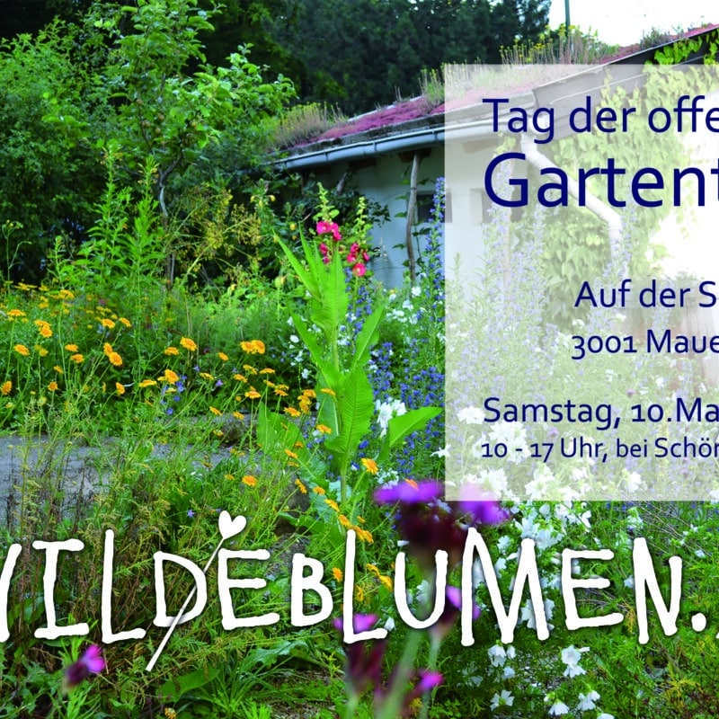 Einladung zum Tag der offenen Gartentür in Mauerbach bei DI Paula Polak