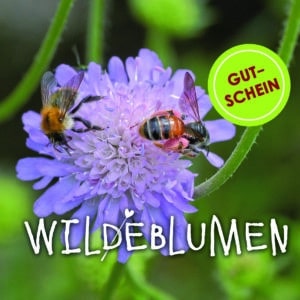 Gutschein BIENCHEN