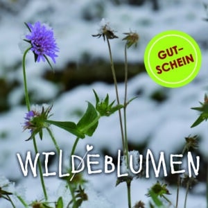 Gutschein WINTER