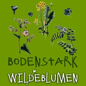 Produktbild der Wildblumensamenmischung Bodenstark der Wilden Blumen zeigt eine Auswahl der enthaltenen Arten