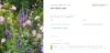 Gutscheinlayout 1