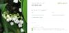 Gutscheinlayout 5