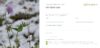 Gutscheinlayout 3
