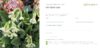Gutscheinlayout 2
