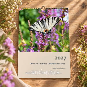 Fotokalender "Wildeblumen" 2027